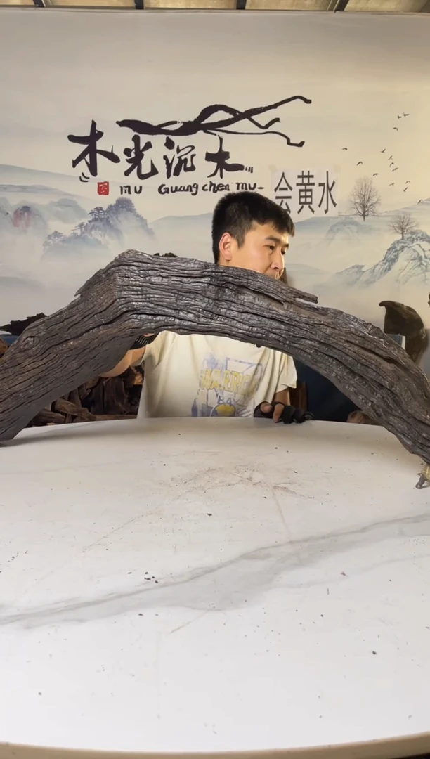 a292木光沉木木光沉木292