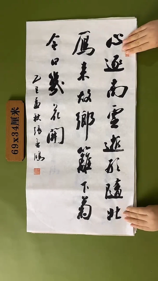 书法书法 张若鸿 尺寸69cm*34cm