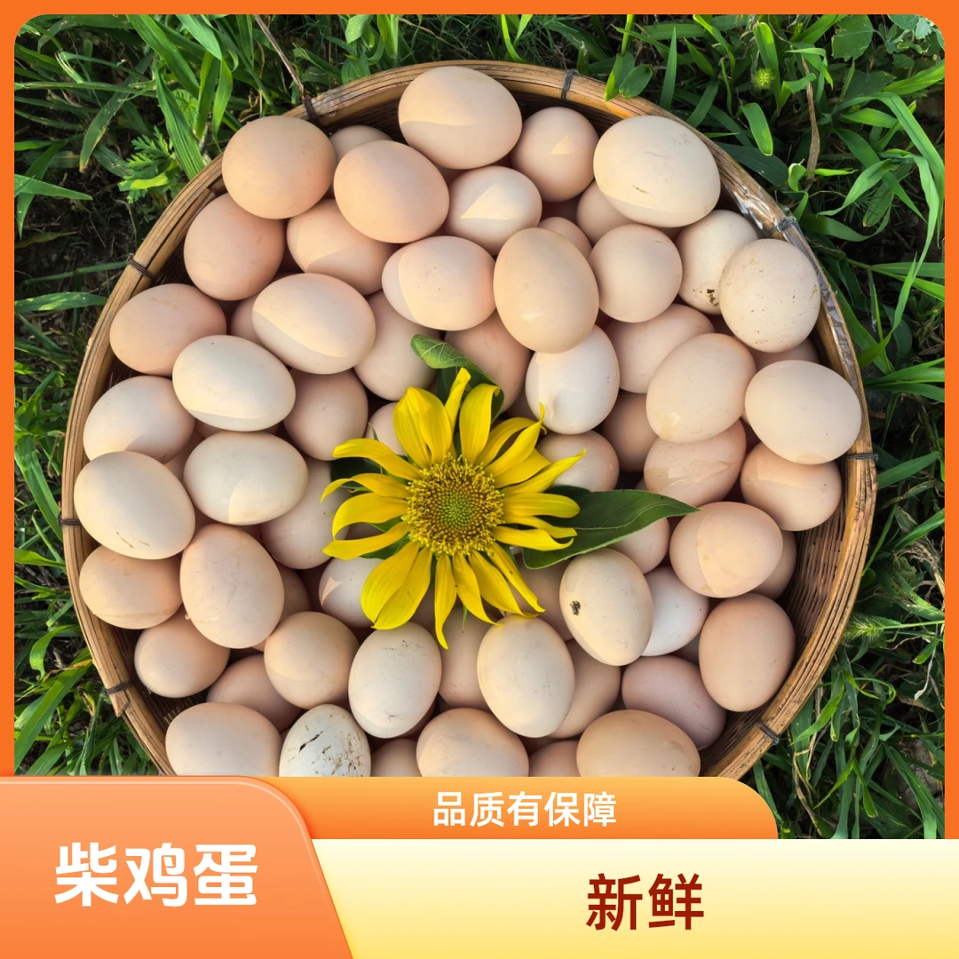 30枚北京林下新鲜新鲜农家正宗乡下土鸡蛋鸡蛋农家散养正宗土鸡蛋