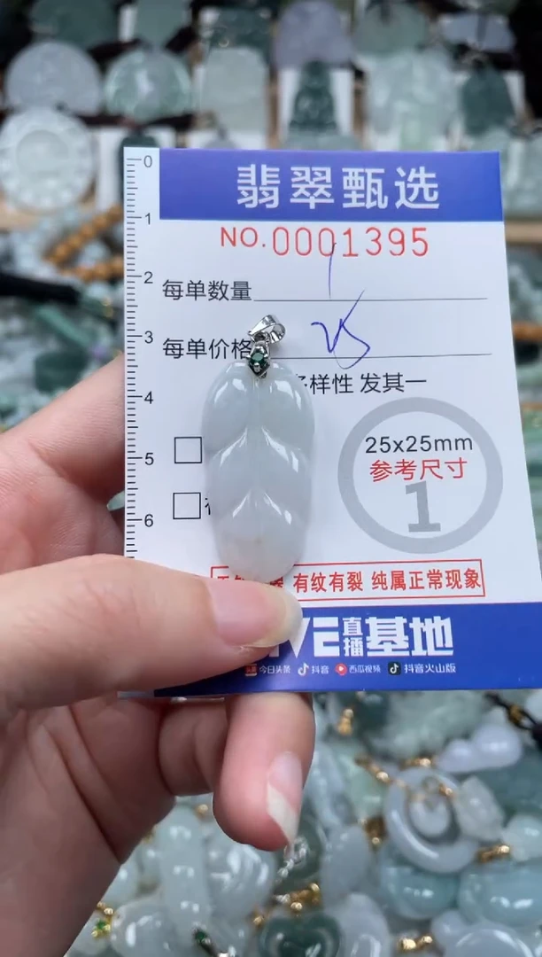 翡翠未镶嵌颈饰00..1395
