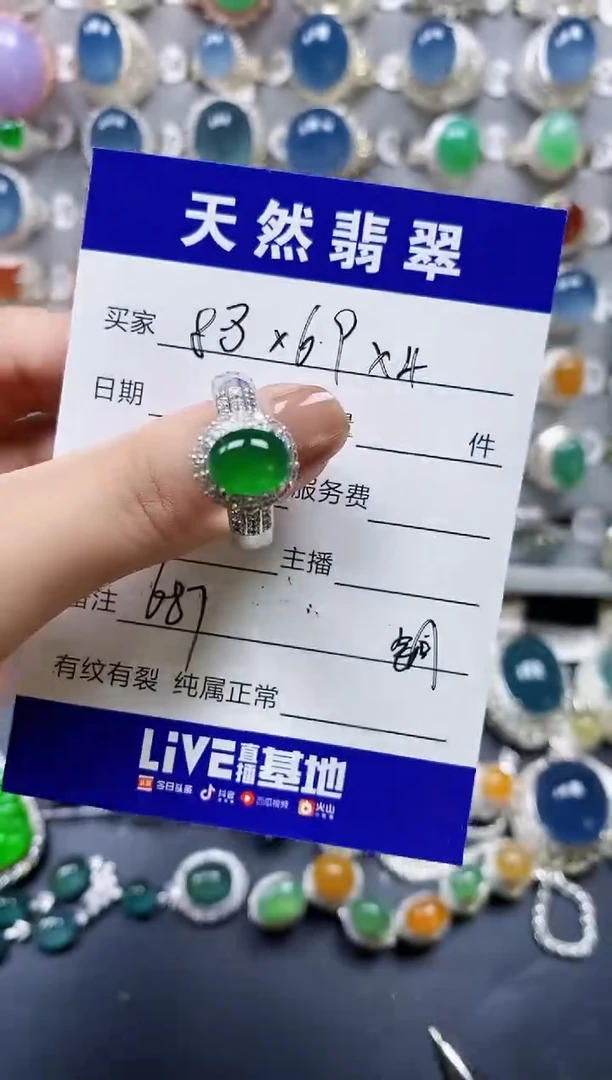 翡翠未镶嵌颈饰00000687