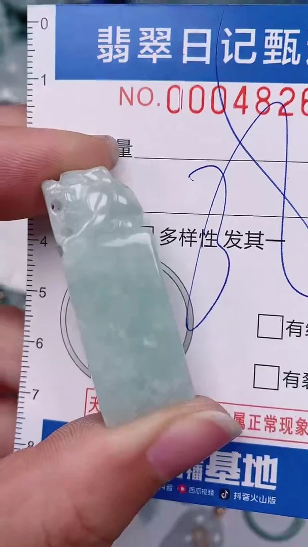 【闪购商品】翡翠颈饰未镶嵌00004826