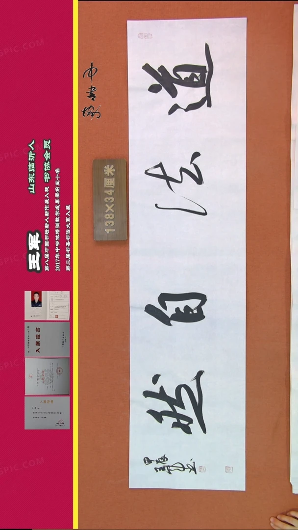 【闪购商品】书法208王军书法作品