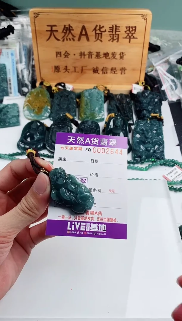 颈饰未镶嵌翡翠 多样性随机一件发货 貔貅38