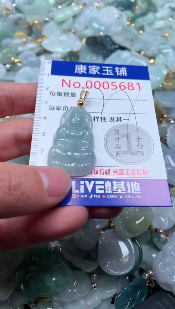 【闪购商品】翡翠吊坠(不含链)未镶嵌5681多样性发其一