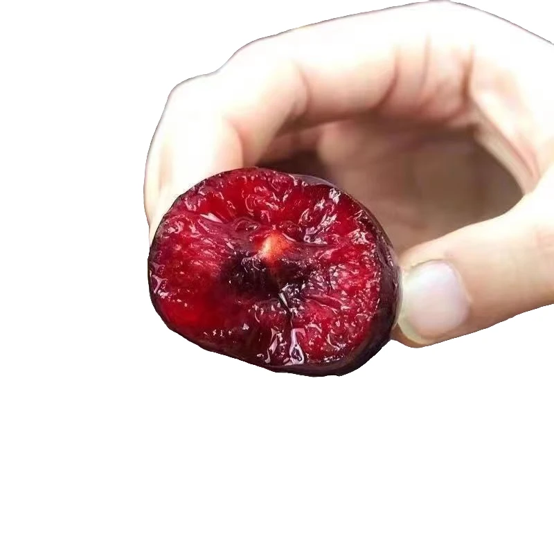 空运奥数车厘子3JD嘎嘣脆2kG装净重4斤桑提娜智利