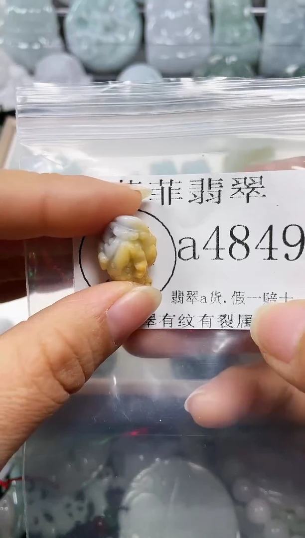 【闪购商品】翡翠颈饰未镶嵌闪购4849