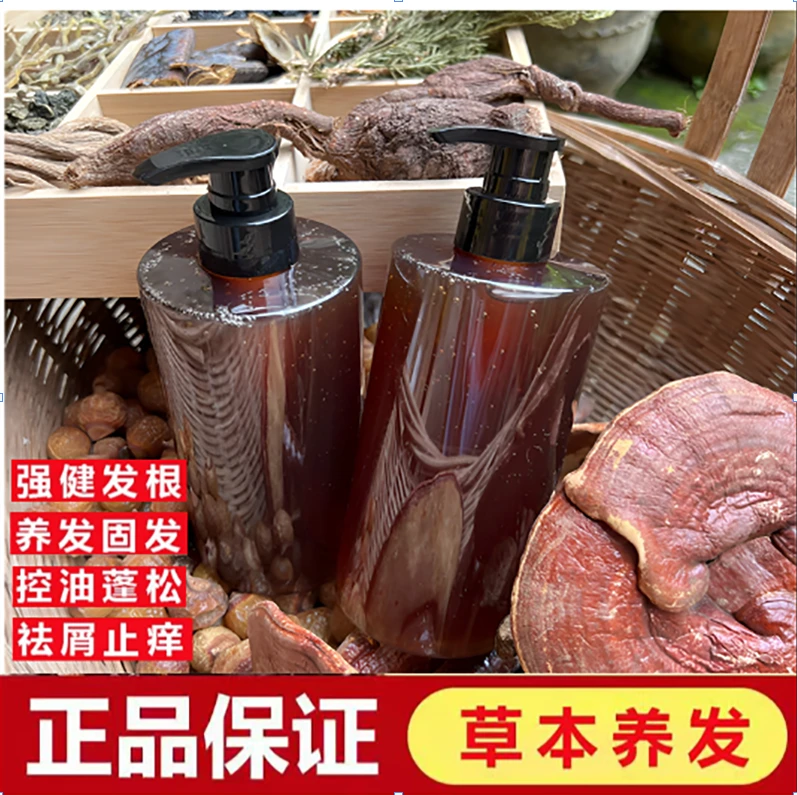 侧柏叶洗发水植物萃取植物配方补充头发营养