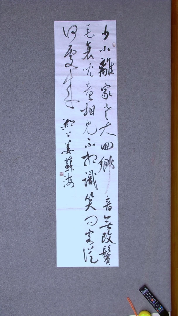 书法姜苏海 江苏涟水138*34兰亭书家四平尺