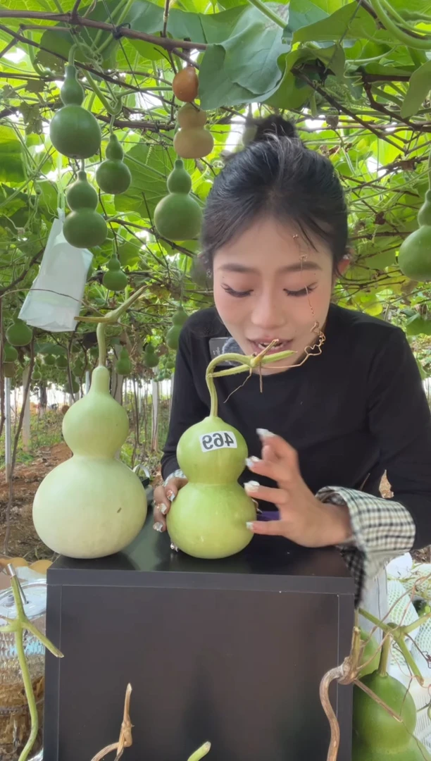 请****主469天然葫芦摆件 一物一拍龙头不保售后
