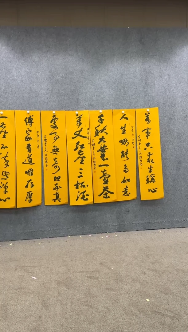 【闪购商品】书法pmw不二轩旗舰店书法CJL14