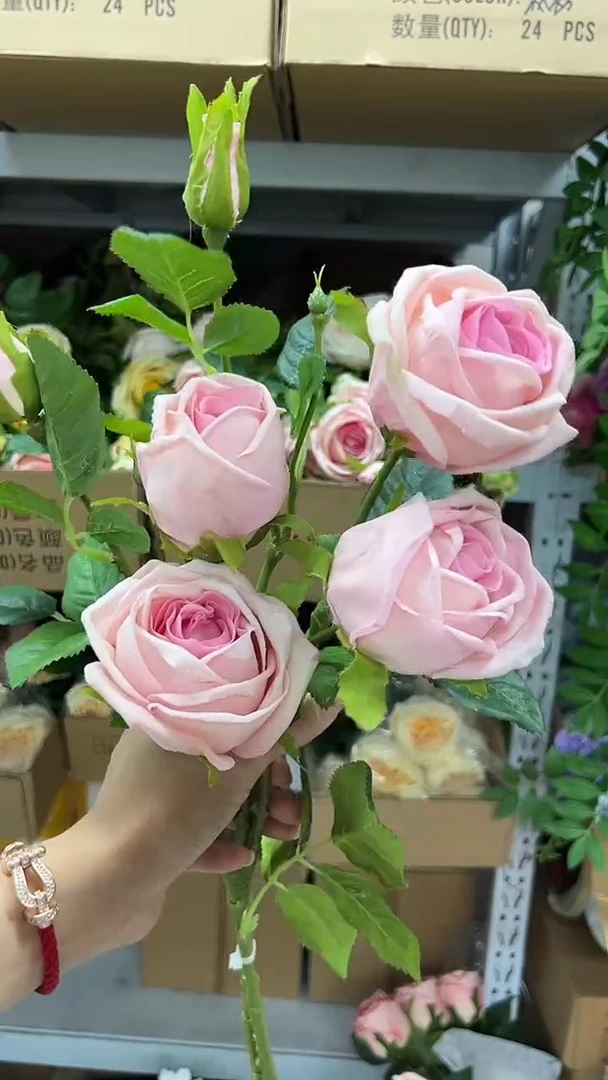 2枝粉色手感保湿芬兰