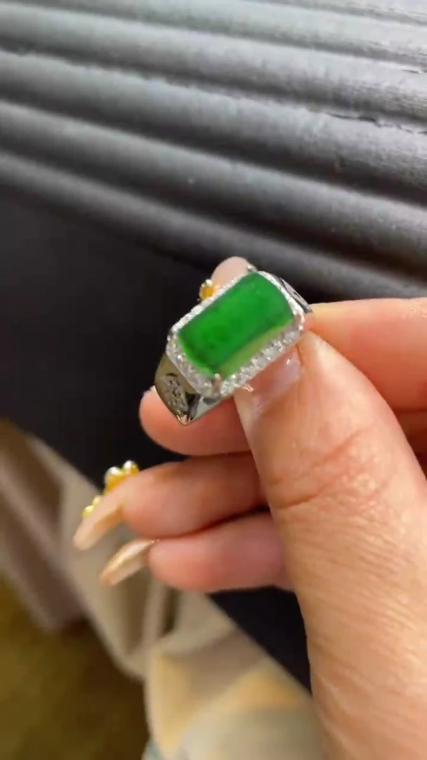 【闪购商品】翡翠颈饰未镶嵌      *42