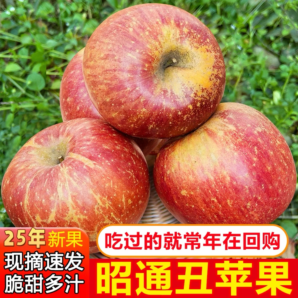 2025正宗云南苹果昭通冰糖心丑苹果新鲜大凉山脆甜水果产地直发