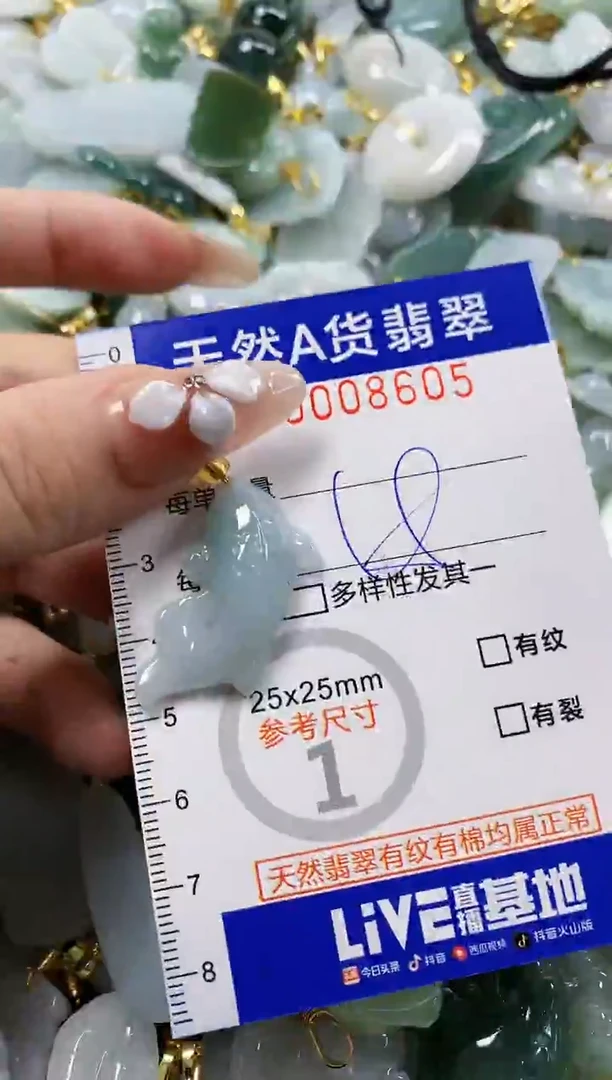 颈饰未镶嵌翡翠天然A货翡翠