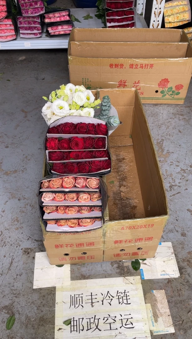 高原红2扎+卡布6扎+白桔梗800克+尤加利