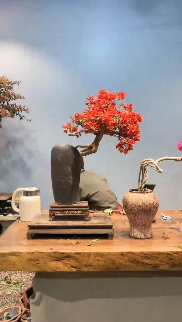 【闪购商品】DZVSV961