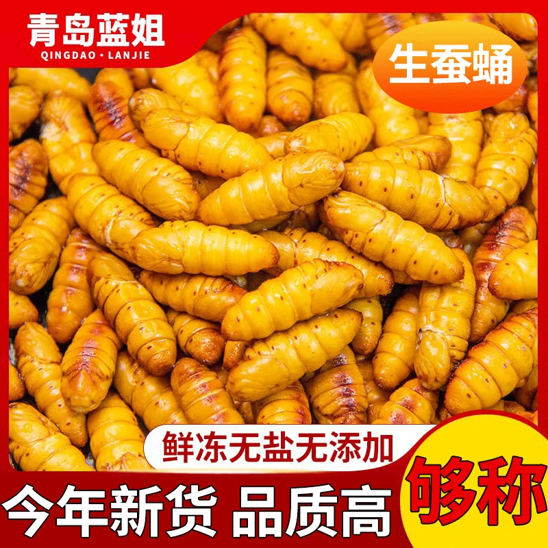 蚕蛹鲜活5斤整箱新鲜金丝小蚕蛹冷冻香酥蛹下酒菜非东北大蚕蛹