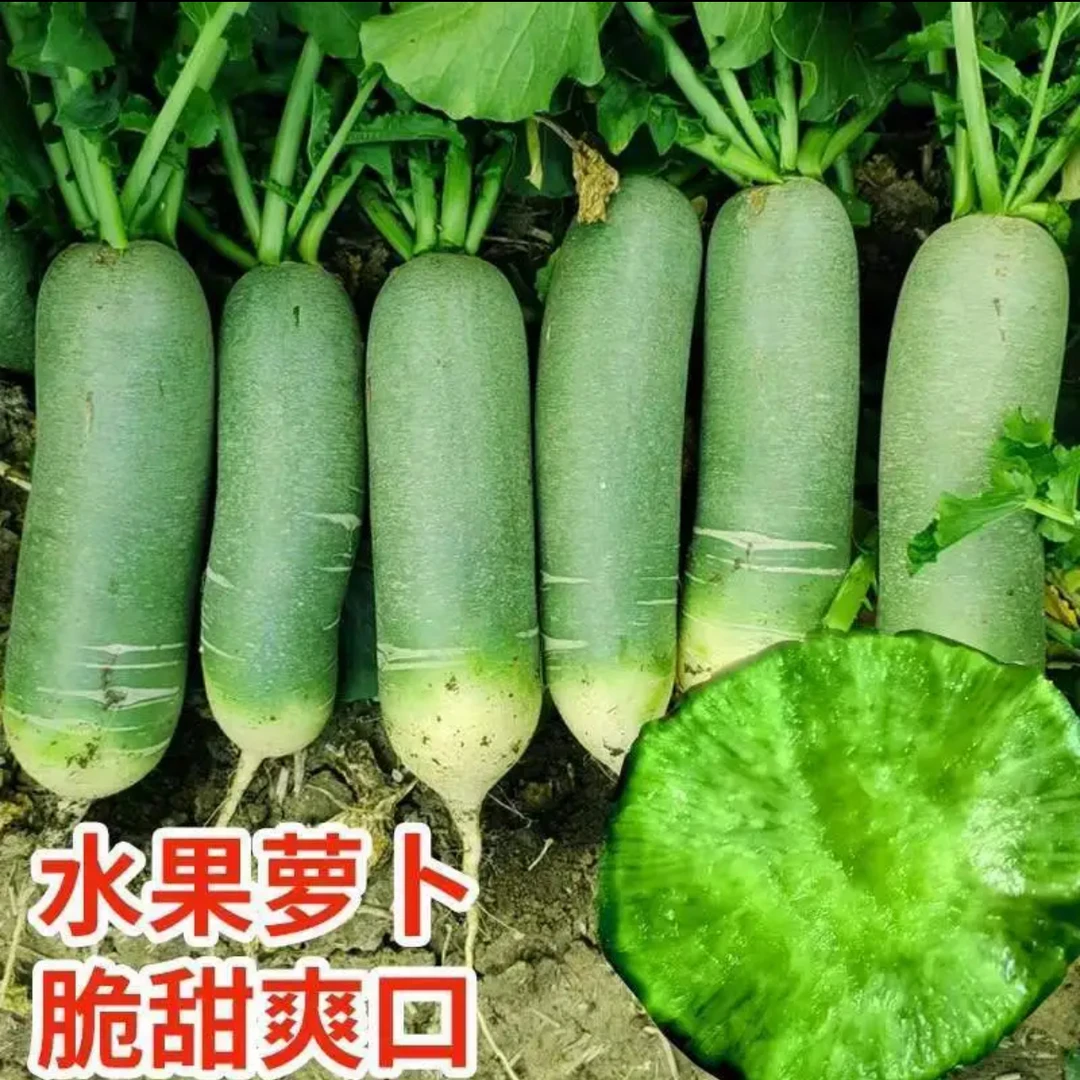 （满5元包邮）水果萝卜菜籽四季种植阳台庭院播种