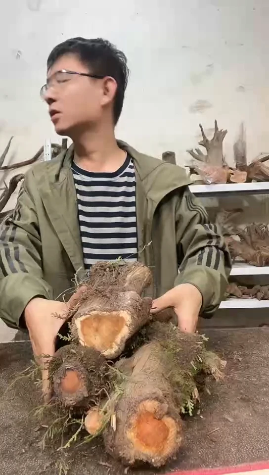 香榧木小*崖柏直播间一物一拍