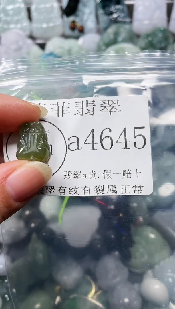 【闪购商品】翡翠颈饰未镶嵌闪购4645