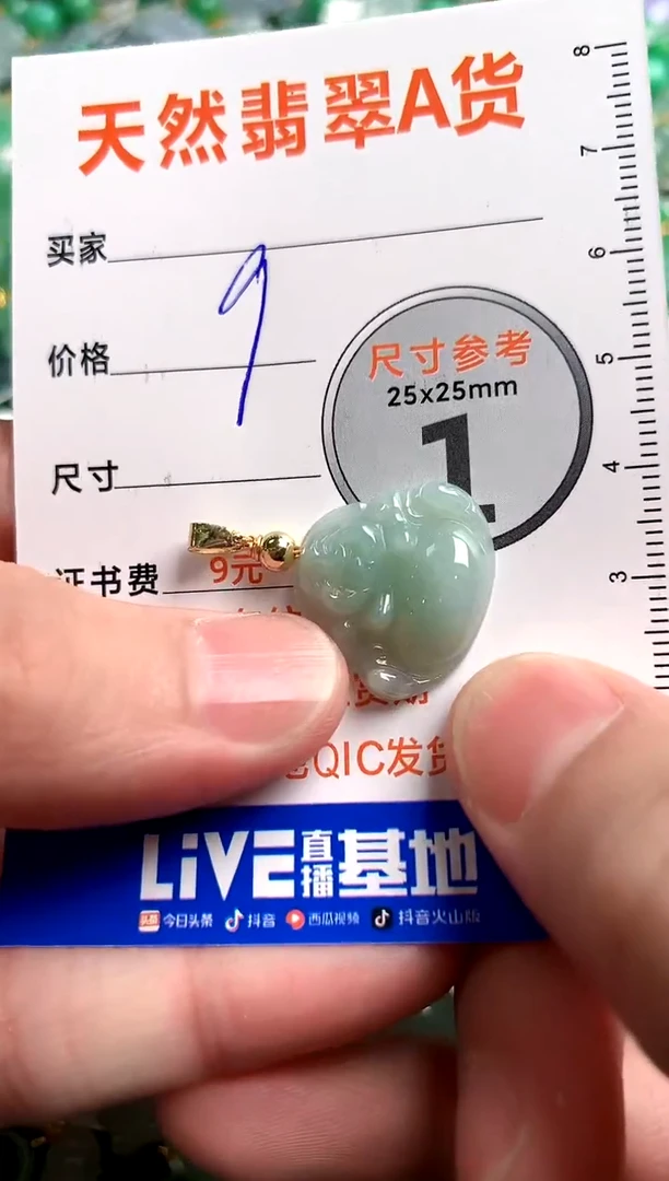 【闪购商品】翡翠颈饰未镶嵌14004007