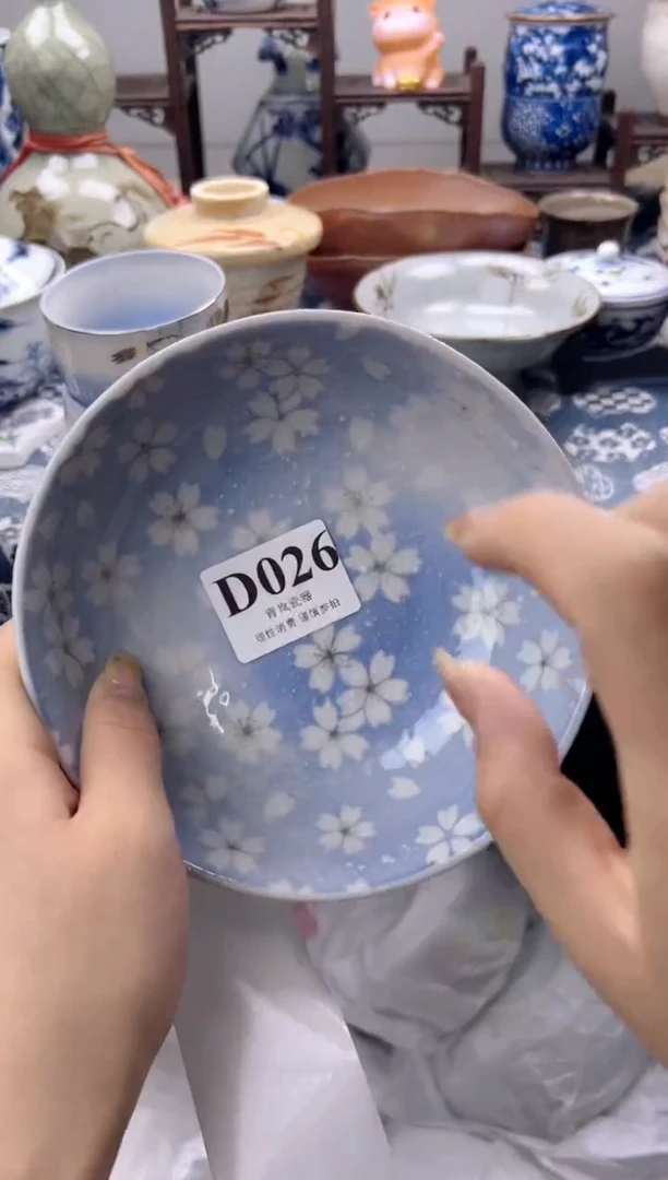 瓷片P*     D026
