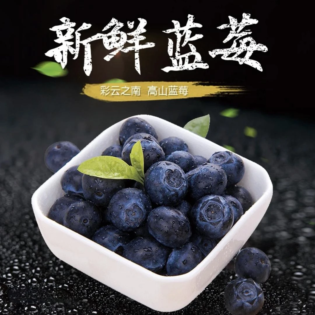 云南蓝莓【顺丰|京东】L25高山花香蓝莓新鲜采摘脆甜多汁