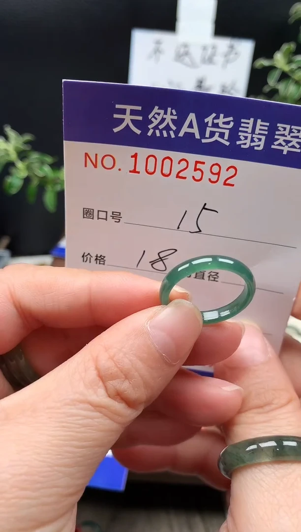 未镶嵌戒指翡翠15#