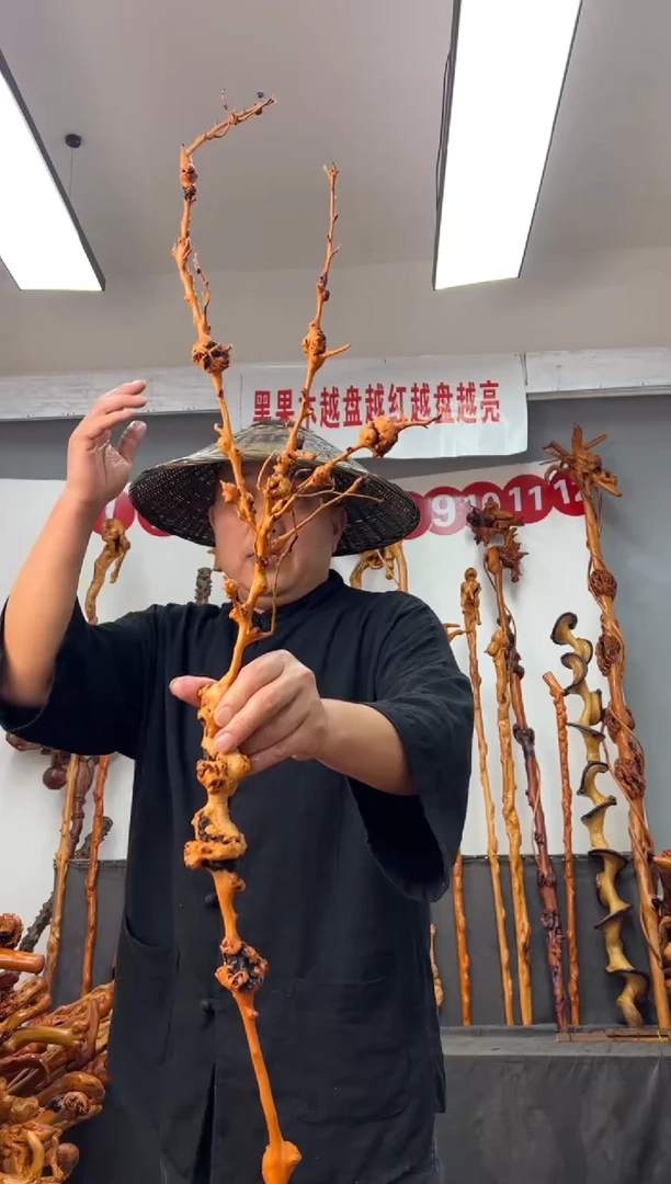 黑果木其他黑果木316