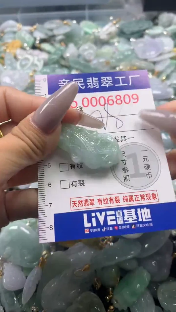 颈饰未镶嵌翡翠6809