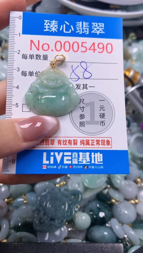 翡翠未镶嵌颈饰含绳0005490