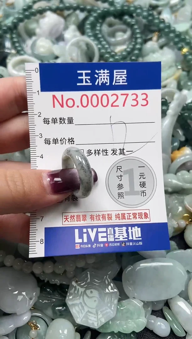 颈饰未镶嵌翡翠2733