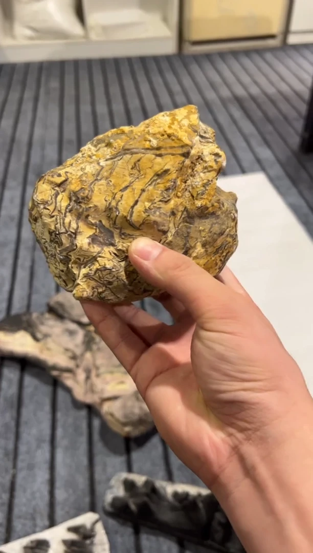 兰*王意境典雅砚台烟缸摆件