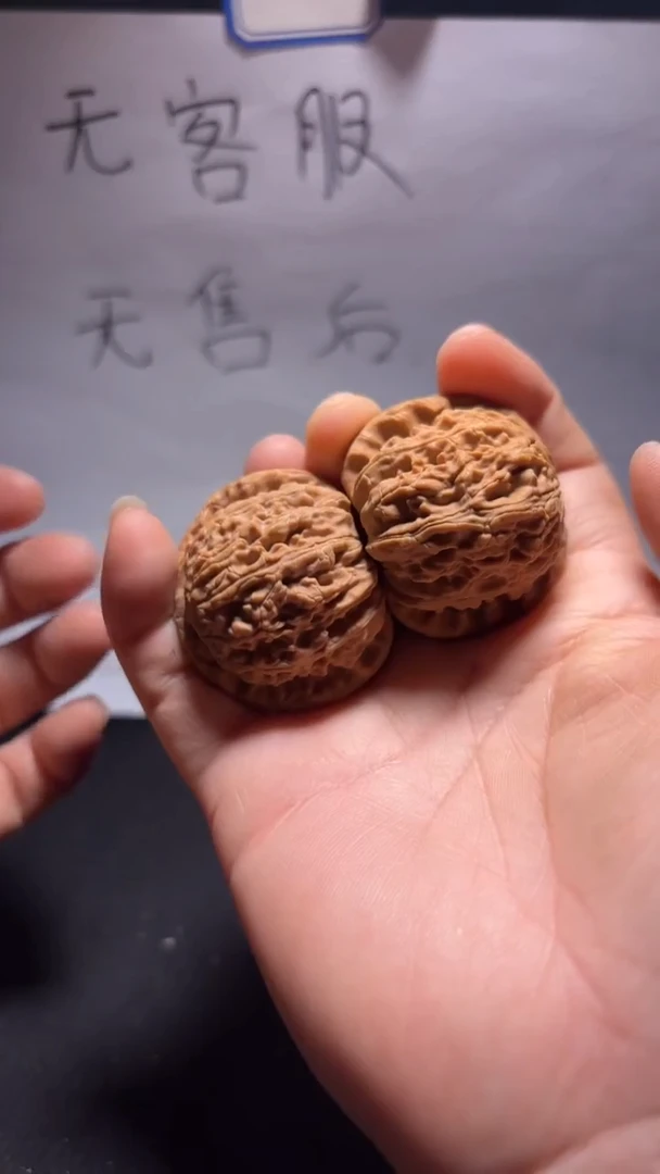 把件文玩核桃168白狮子