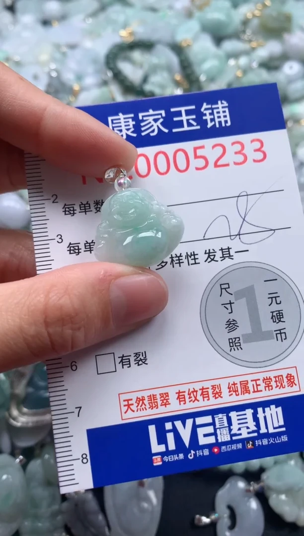 颈饰未镶嵌翡翠5233
