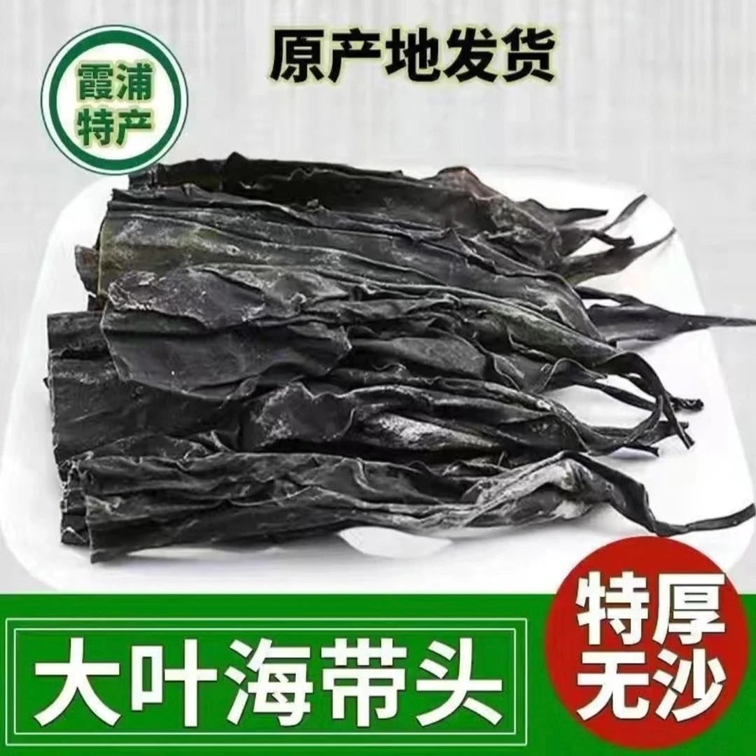 【长海带头中段】霞浦日晒干长海带头煲汤凉拌厚海带新鲜软糯无沙
