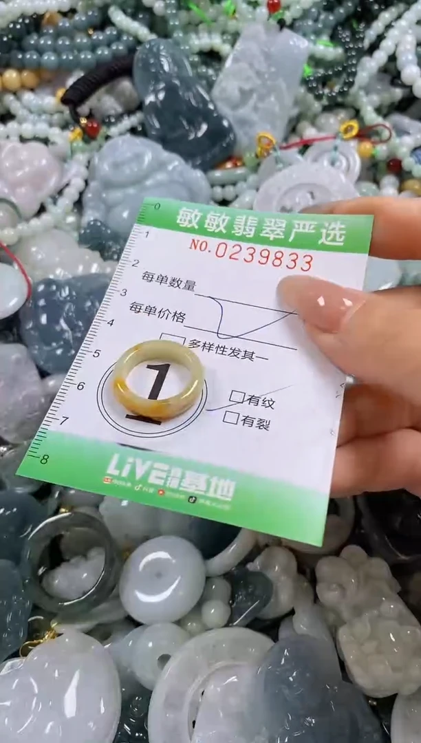 翡翠未镶嵌颈饰闪购0239833