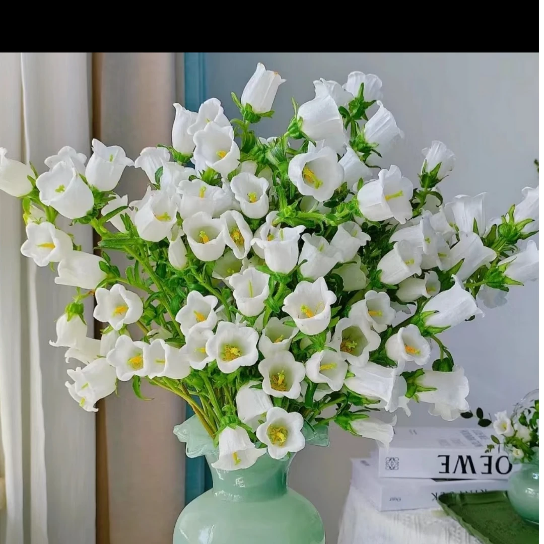 【任意满两单鲜花升级EMS空运】白色风铃一扎 云南直发