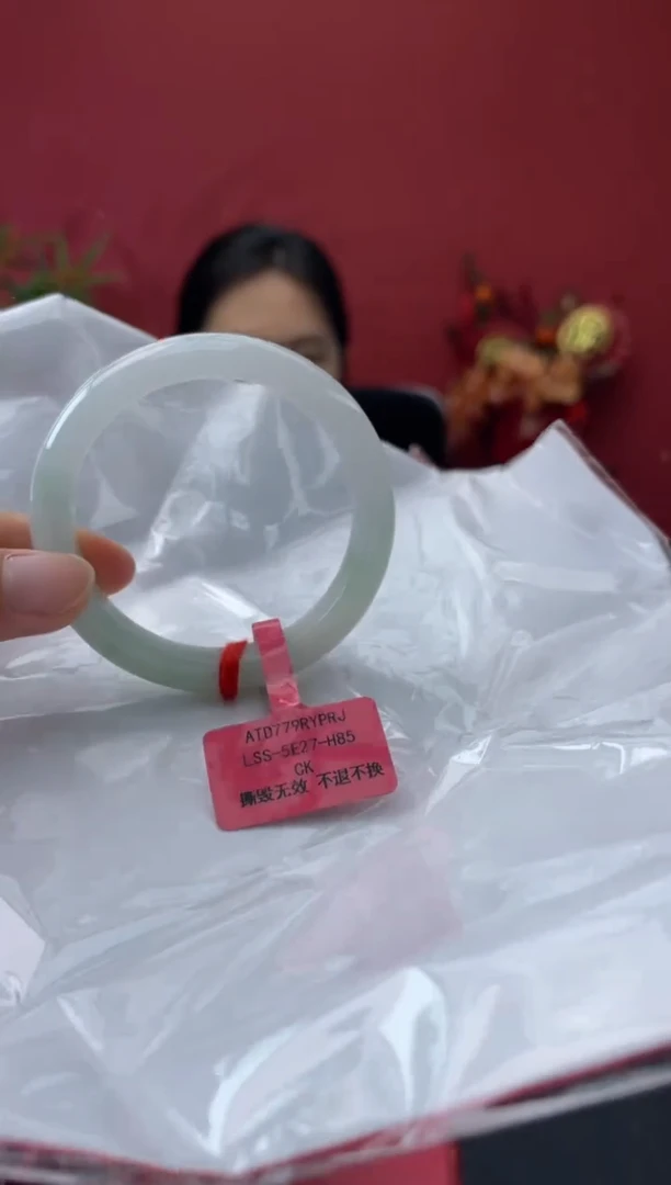 未镶嵌手镯翡翠5