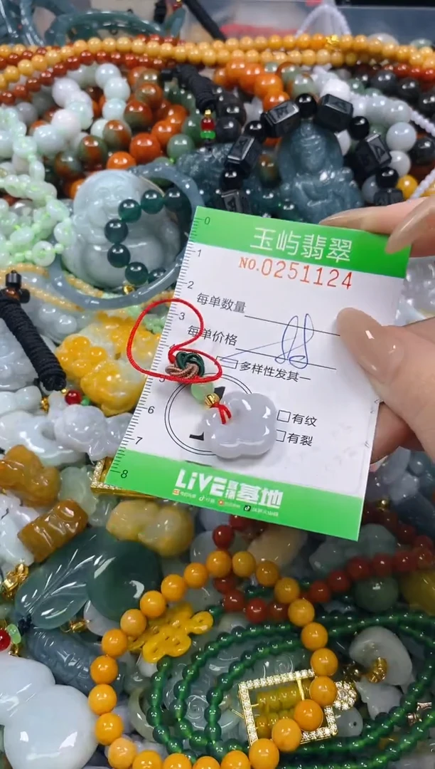 颈饰未镶嵌翡翠闪购0251124多样性发其一