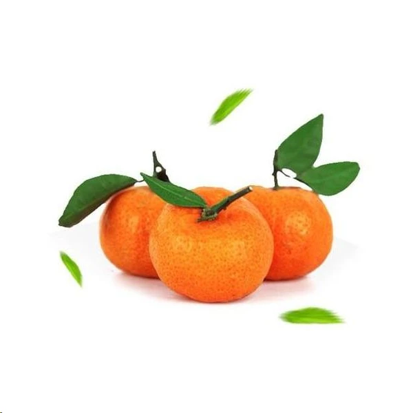 砂糖桔（约6斤左右）