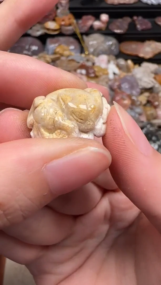 硅化珊瑚（珊瑚玉）未镶嵌颈饰293