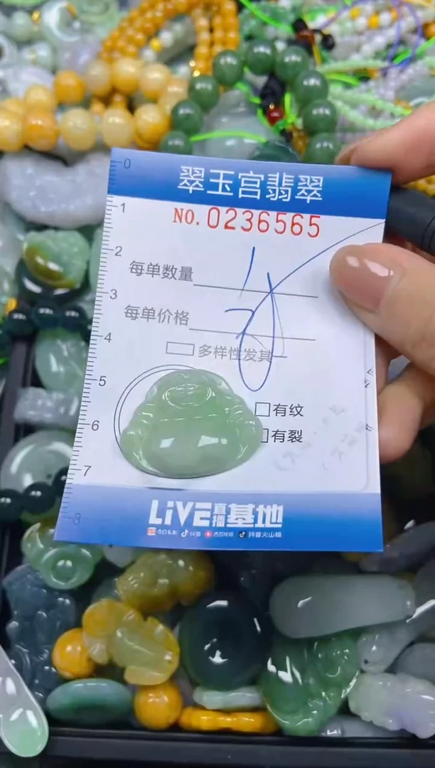 颈饰未镶嵌翡翠闪购C0236565