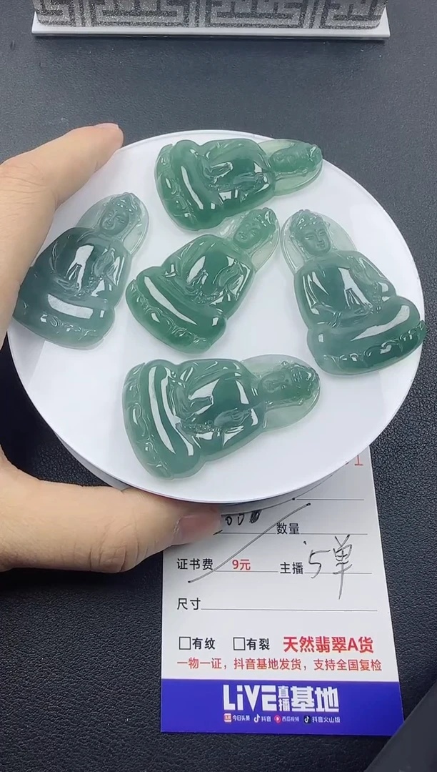 【闪购商品】翡翠颈饰未镶嵌翡翠素衣观音（多样性发其一）