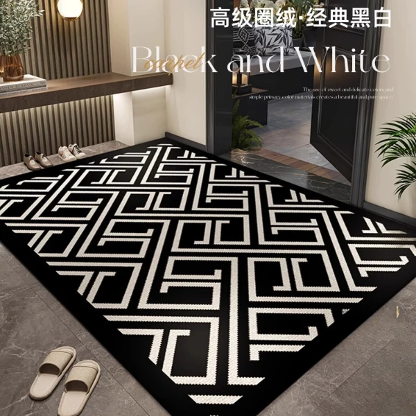 入户门地垫选它就对了防滑很棒耐脏超厉害打造轻奢又省心的脚垫