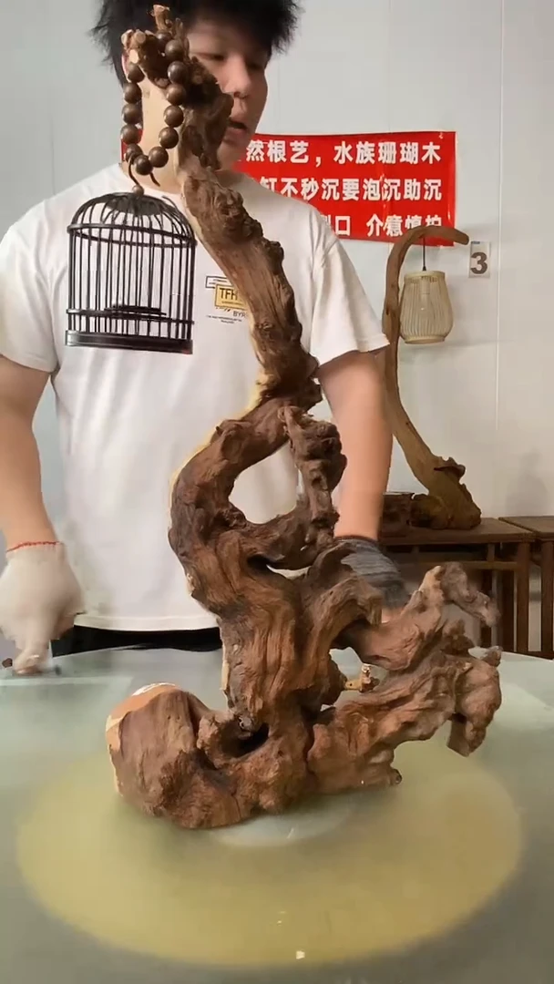 香榧木勇*胜金丝红木 羊蹄甲