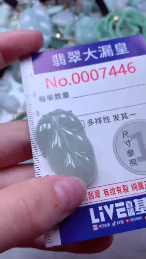 吊坠(不含链)未镶嵌翡翠7446
