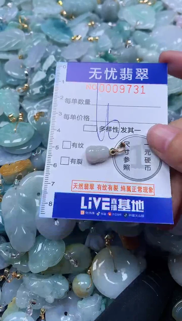 颈饰未镶嵌翡翠9731