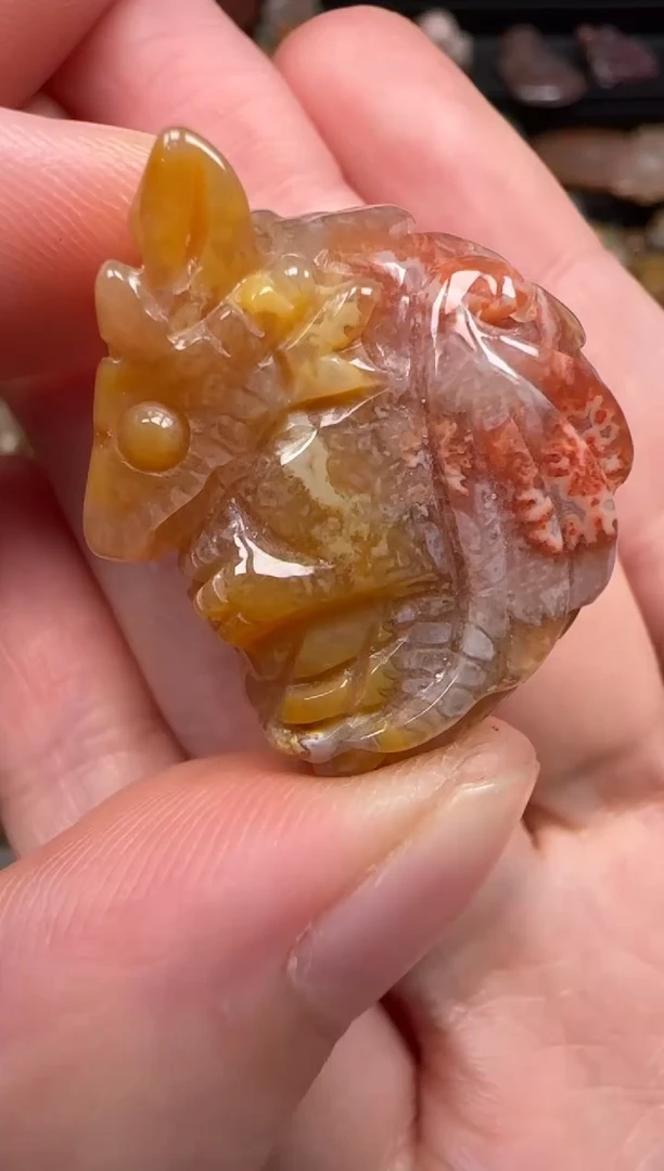 硅化珊瑚（珊瑚玉）未镶嵌颈饰659